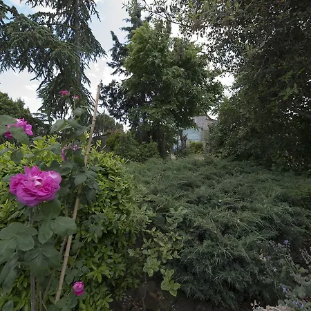 Bed & Breakfast Casa Clivia